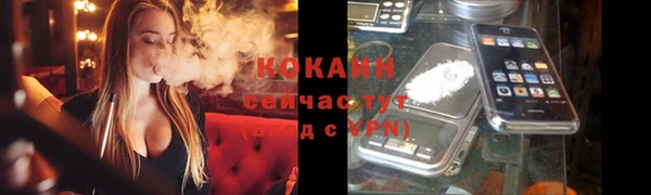 тгк Верея