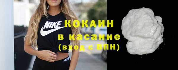 прущие грибы Верхний Тагил