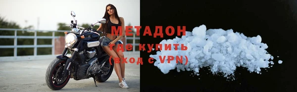 прущие грибы Верхний Тагил