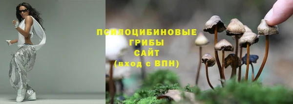 прущие грибы Верхний Тагил
