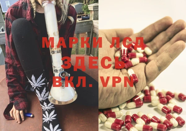 прущие грибы Верхний Тагил