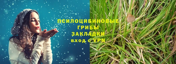 прущие грибы Верхний Тагил