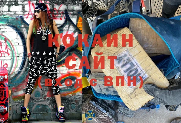 прущие грибы Верхний Тагил