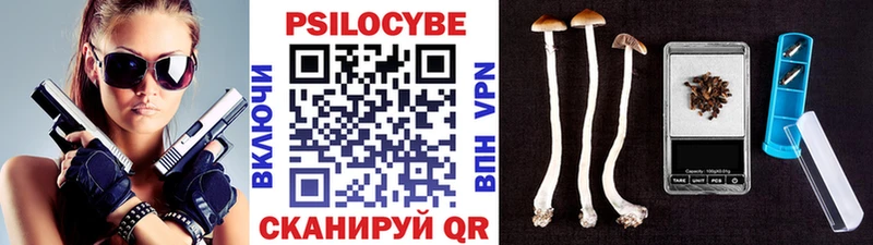 Галлюциногенные грибы MAGIC MUSHROOMS  Великий Новгород 