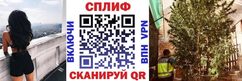 МАРИХУАНА Ganja  KRAKEN зеркало  Великий Новгород  что такое наркотик 